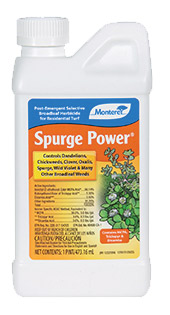 Spurge Power® Herbicide 1 pint bottle - Chemicals